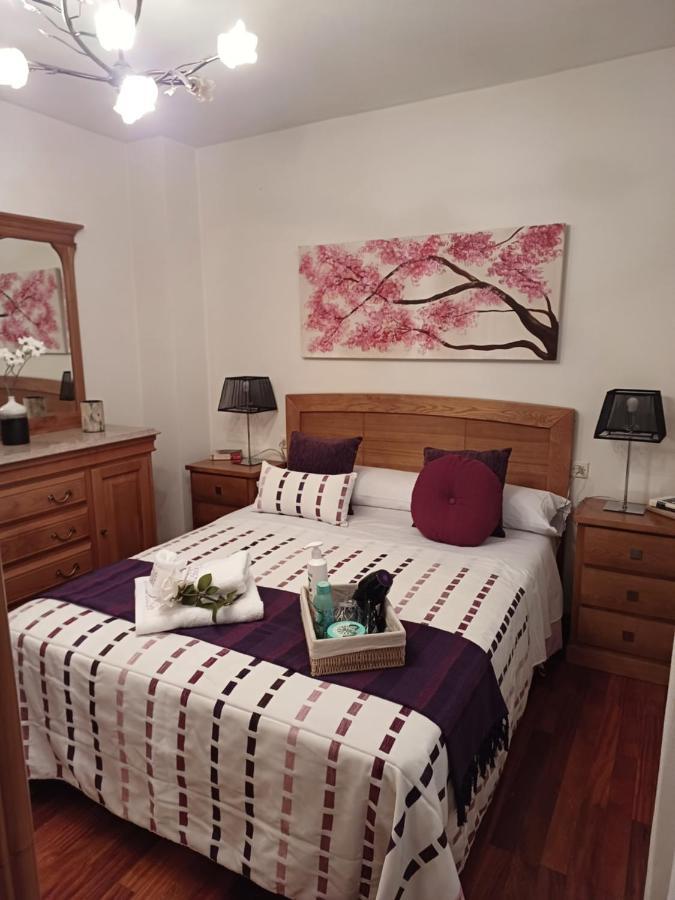 Apartamento Penedo, Camino Portugus-Con Plaza De Garaje Gratis ซานติอาโก เด กอมโปสเตลา ภายนอก รูปภาพ